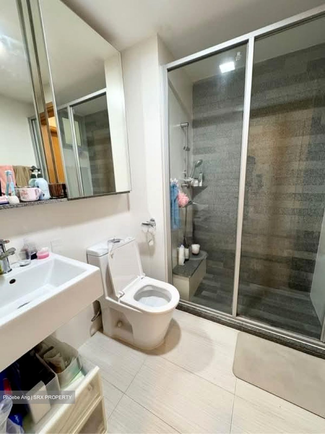 8 @ Mount Sophia (D9), Condominium #601942581